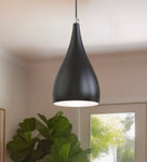 1-Light Black Pendant, Modern Style