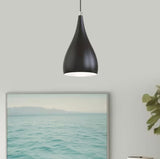 1-Light Black Pendant, Modern Style