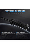 Eccpp strut springs