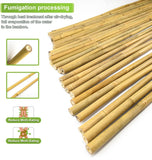 Jollybower 20pcs 5/8" Bamboo Stakes