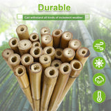 Jollybower 20pcs 5/8" Bamboo Stakes