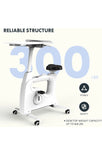 FLEXISPOT Exercise Bike Desk