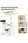 FLEXISPOT Exercise Bike Desk