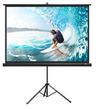 Tatronics 120” 4:3 projector screen