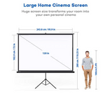 Tatronics 120” 4:3 projector screen