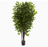 Faux Ficus Tree