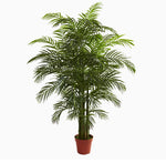 Faux Areca Palm Tree