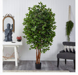 Faux Ficus Tree